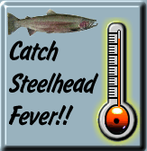 Catch Steelhead Fever!!