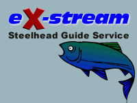 eX-stream Steelhead Guide Service