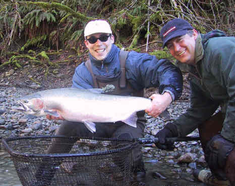 Cowichan River Steelhead - Hatchery Keeper!